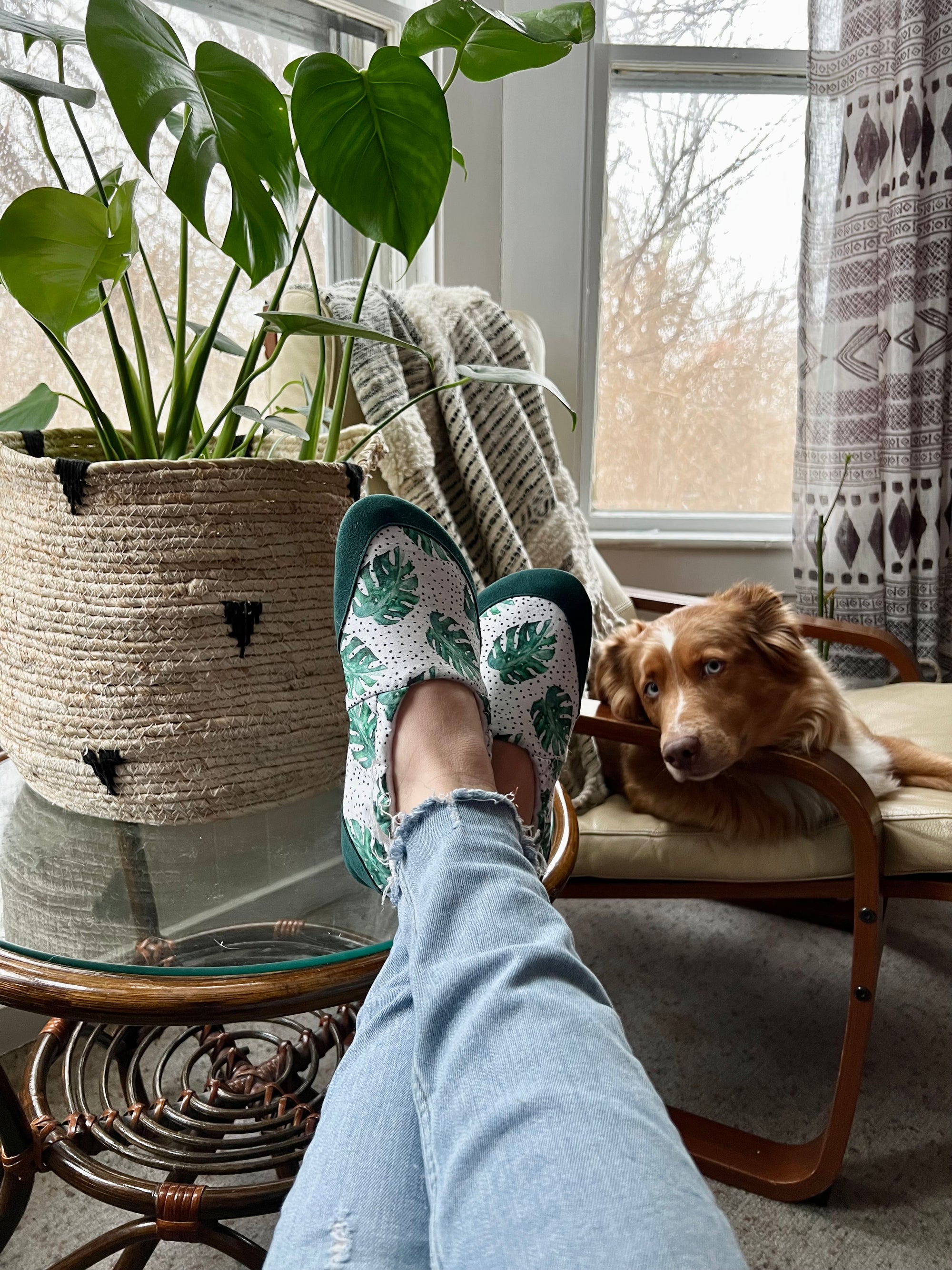 JadyLadys - Slip on shoe - Momma monstera